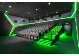 Acoustic Treatment of the Movie Theater Auditoriums