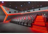 Acoustic Treatment of the Movie Theater Auditoriums