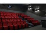 Acoustic Treatment of the Movie Theater Auditoriums