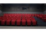 Acoustic Treatment of the Movie Theater Auditoriums