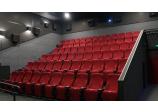 Acoustic Treatment of the Movie Theater Auditoriums