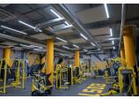 Boston Gym Fitness Club, Vladimir