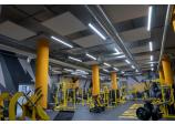Boston Gym Fitness Club, Vladimir
