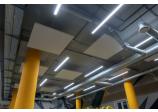 Boston Gym Fitness Club, Vladimir