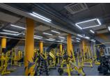 Boston Gym Fitness Club, Vladimir