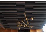 Improvement of Acoustics in the Meeting Rooms