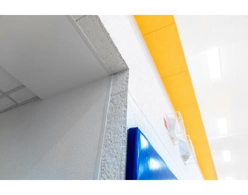 Acoustic Treatment of the Gym and the Children’s Shooting Range