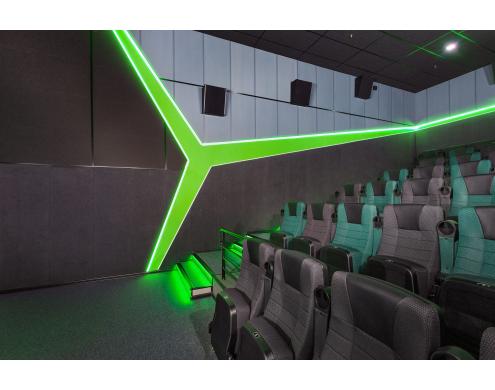Acoustic Treatment of the Movie Theater Auditoriums