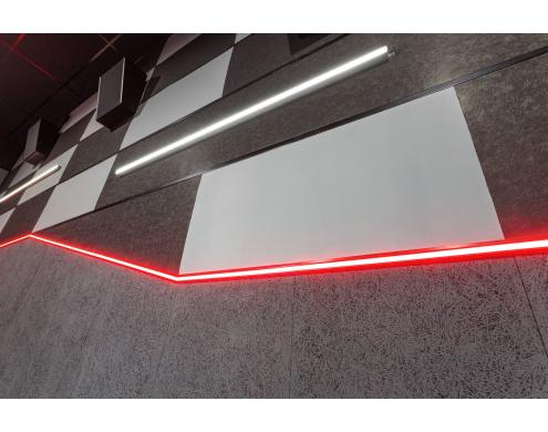 Acoustic Treatment of the Movie Theater Auditoriums