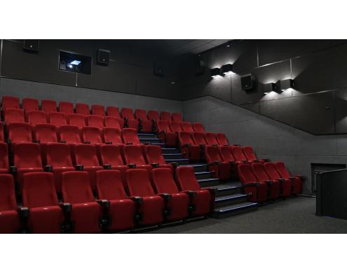 Acoustic Treatment of the Movie Theater Auditoriums