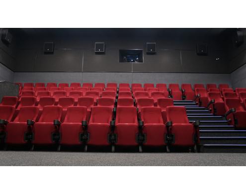 Acoustic Treatment of the Movie Theater Auditoriums