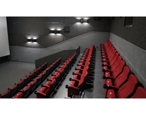 Acoustic Treatment of the Movie Theater Auditoriums