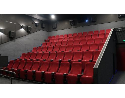 Acoustic Treatment of the Movie Theater Auditoriums