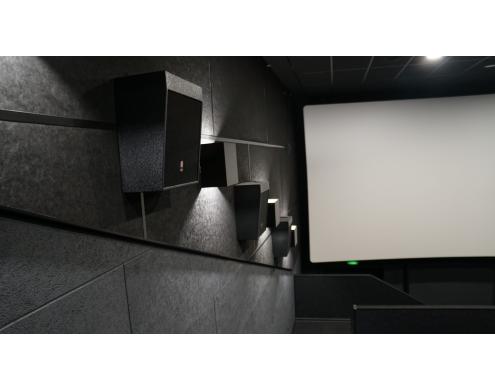 Acoustic Treatment of the Movie Theater Auditoriums