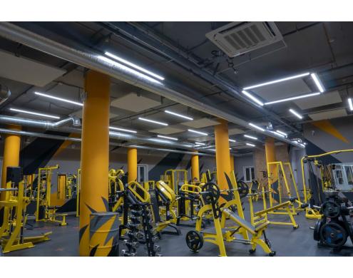 Boston Gym Fitness Club, Vladimir