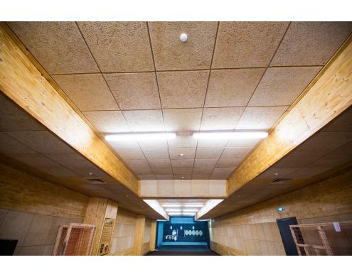 Ceiling and wall acoustic treatment in the shooting club