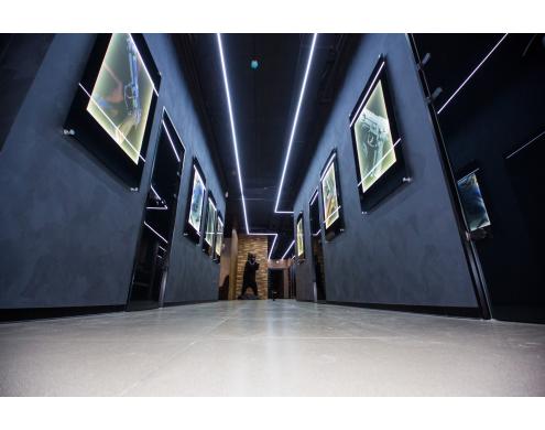 Ceiling and wall acoustic treatment in the shooting club