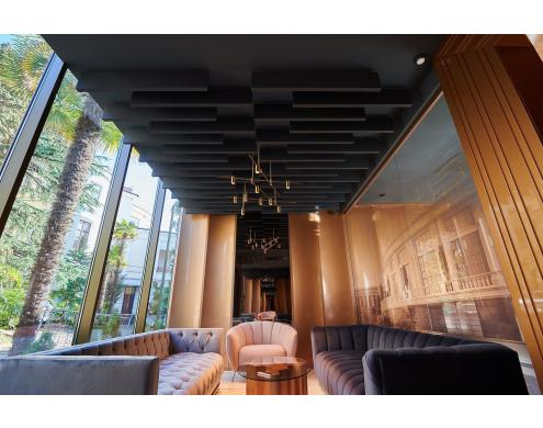 Improvement of Acoustics in the Meeting Rooms