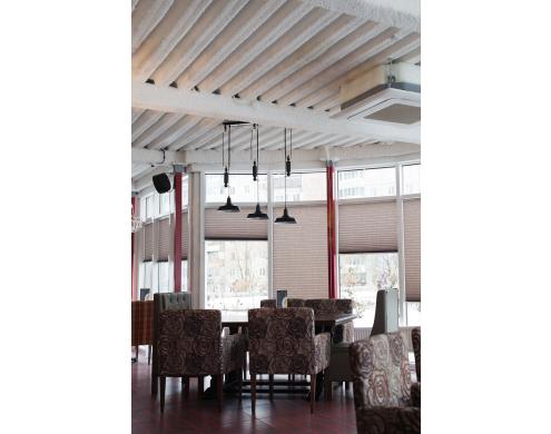 Poyushchiy Losos (Singing Salmon) cafe