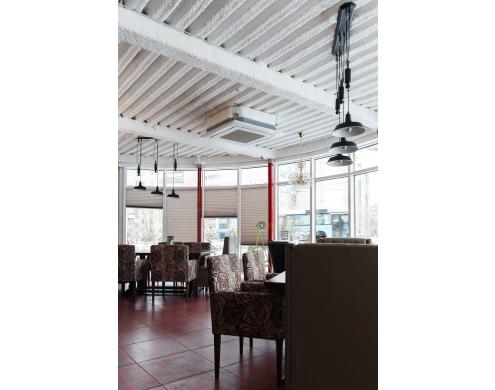 Poyushchiy Losos (Singing Salmon) cafe