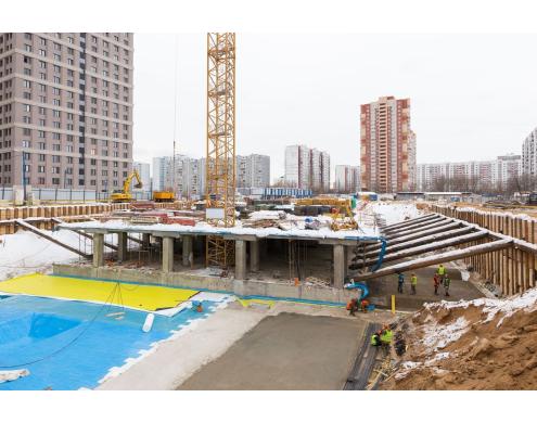 Rodnoy Gorod Housing complex