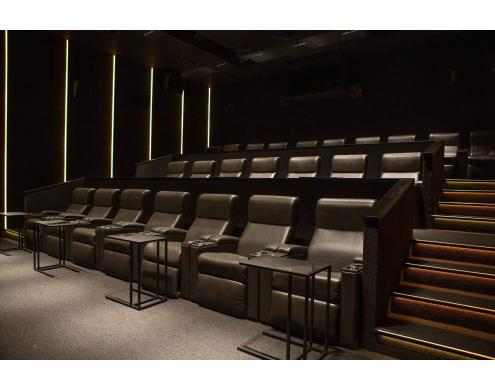 Sound insulation of the Bolshoy Cinema
