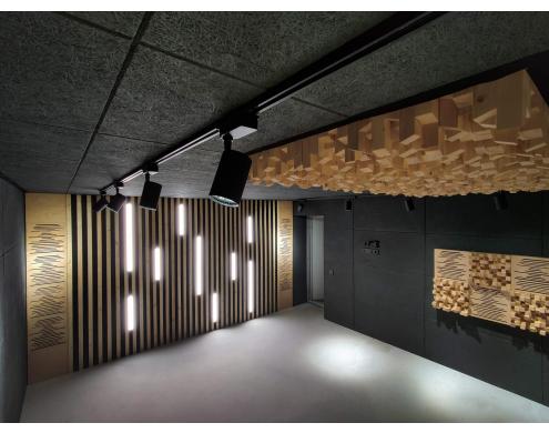 The Recording Studio